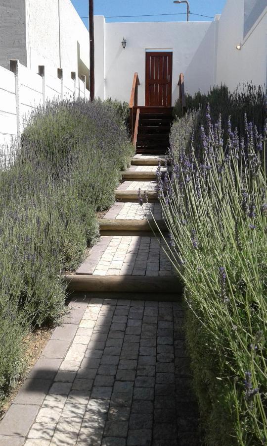 Lavandula Manor Self-Catering Мозел Бей Екстериор снимка